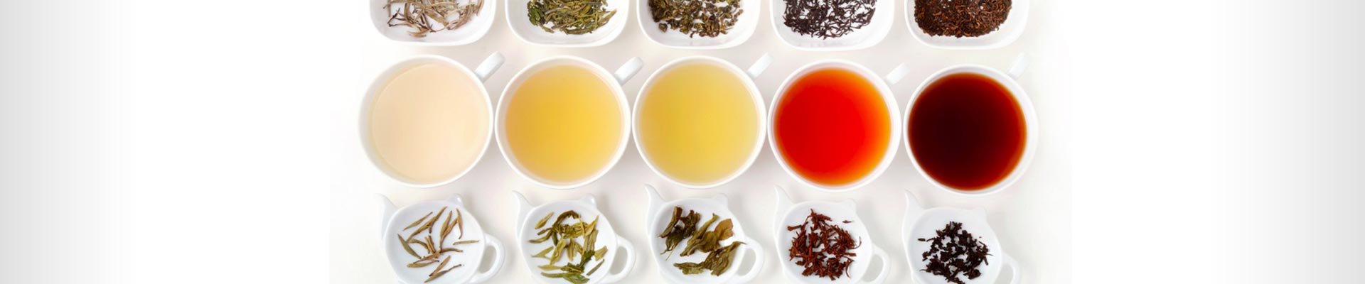 Infusoes Produtos | Plantafarm – Chás, infusões e botânicos premium